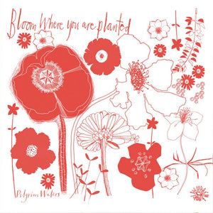 Bloom tea towel designed by Susy PilgrimWaters with the words: "Bloom where you are planted". Copyright PilgrimWaters 2026.
